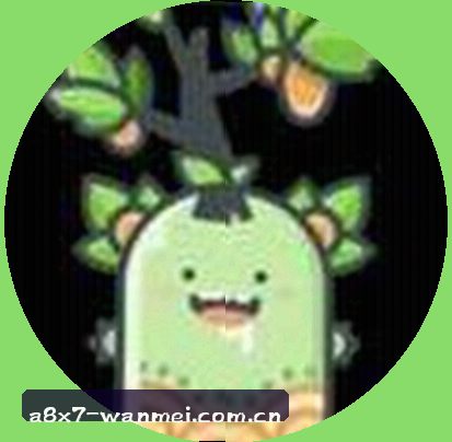 张磊